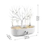 Antlers Jewelry Display Stand with Drawer and Crystal Handle