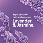 Clorox Scentiva Lavender Jasmine Toilet Wand Refills