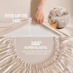 Beige Tufted Queen Comforter Set - 7 Pieces