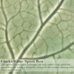 Green Leaf Ceramic Spoon Rest for Kitchen