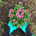 Claw Gardening Gloves for Women - Green