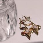 Sparkly Gold Star Dangle Earrings for Women