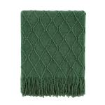 BOURINA Soft Green Knit Throw Blanket 50x60 Inches