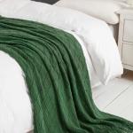 BOURINA Soft Green Knit Throw Blanket 50x60 Inches