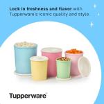 Vintage Tupperware 10-Piece Nested Canister Set