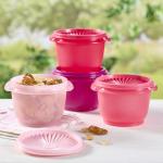 Vintage Pink 16-Piece Tupperware Food Storage Set