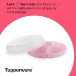 Tupperware 6-Compartment Serving Tray Set