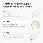 The Ordinary Daily Skincare Routine Set