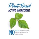 Boiron Rhus Tox 30C for Joint Pain Relief