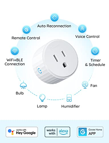 Smart WiFi Plugs with Voice Control & Timer