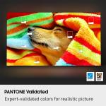 Samsung 55" 4K OLED Smart TV 2025 Model