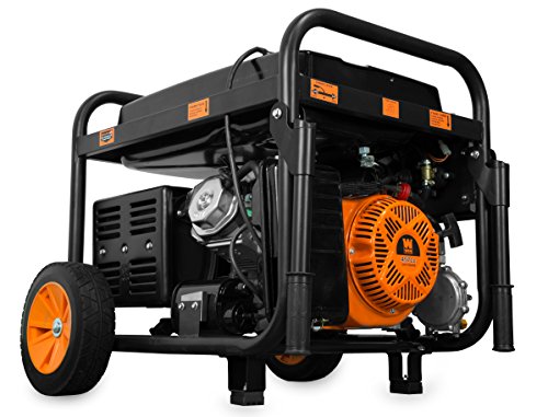 WEN DF1100T - 11,000W Dual Fuel Portable Generator