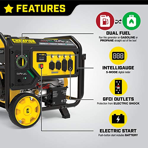 Champion Dual Fuel Portable Generator - Electric Start