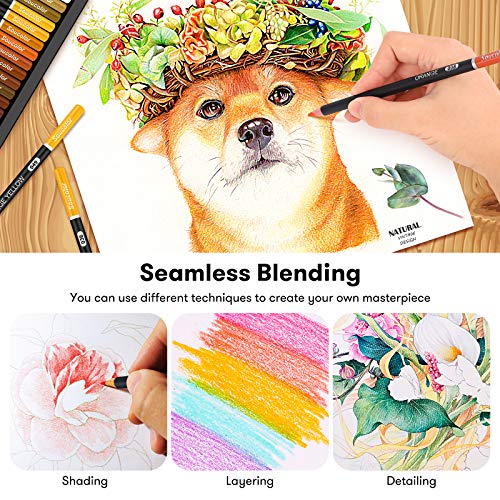180-Color Artist Colored Pencils Set for Adults