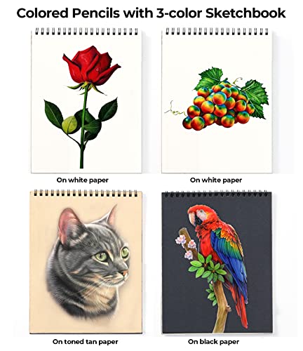 120-Color Colored Pencil Set for Adult Coloring