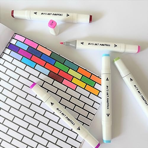 Ali's Alcohol Art Markers - 60 Vibrant Colors