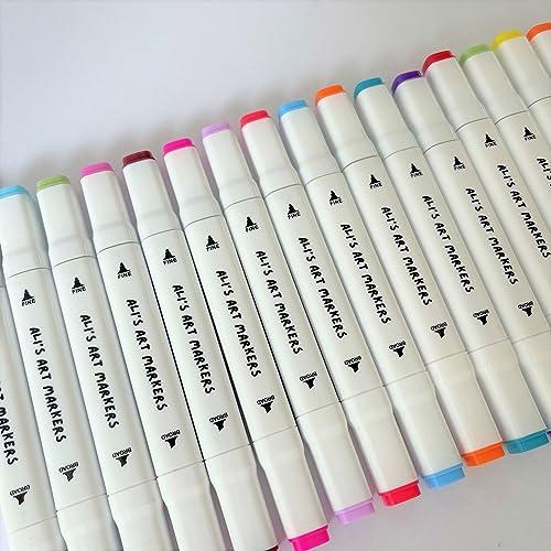 Ali's Alcohol Art Markers - 60 Vibrant Colors