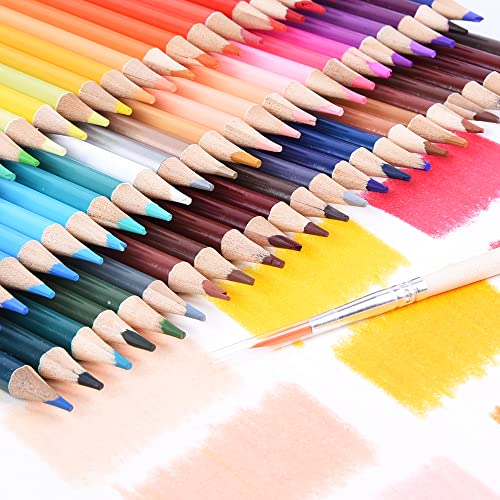 72 Watercolor Pencils for Adult Coloring Fun
