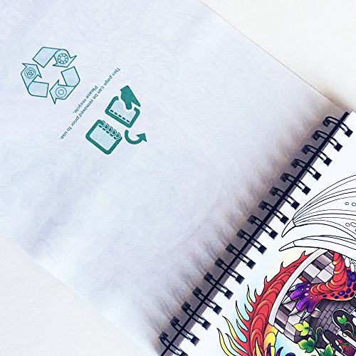 Mythical Enchantments Coloring Book with Fantasy Designs