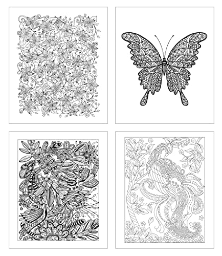 ZOCO Adult Coloring Gift Pack: 3 Books + Colored Pencils