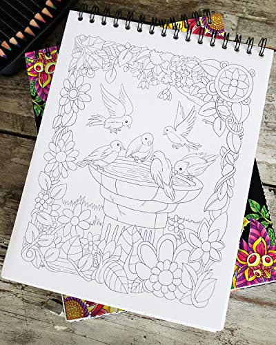Nature-inspired Adult Coloring Book: 50 Original Hand-drawn Designs