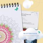ColorIt Mandalas Volume VIII Adult Coloring Book, 50 Patterns