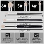 PANDAFLY 3 Size Detail Paint Brush Set