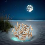 20 Natural Driftwood Pieces for Crafting and Decor