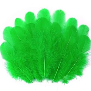 300 Pack of Grass Green Craft Feathers