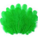 300 Pack of Grass Green Craft Feathers