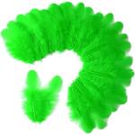 300 Pack of Grass Green Craft Feathers