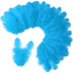 300 Turquoise Craft Feathers for DIY Fun