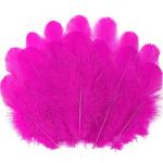 300pcs Fuchsia Craft Feathers for DIY Projects
