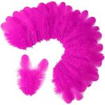 300pcs Fuchsia Craft Feathers for DIY Projects