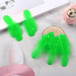 300 Pack of Grass Green Craft Feathers