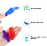 300pcs Fuchsia Craft Feathers for DIY Projects