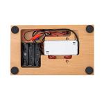 Vintage Double Cylinder Petrol Engine Model Kit