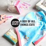 Kawaii Mystery Gift Box for Kids - 20+ Pieces