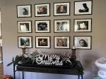 Set of 5 Black Picture Frames for Gallery