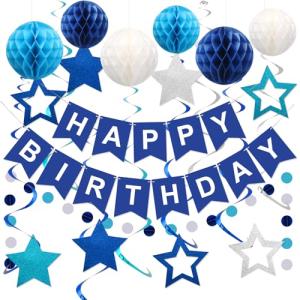 Meowtastic Happy Birthday Decorations Set in Blue