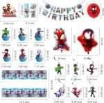 Spider-Man Birthday Party Supplies Set