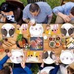 Cute Kitten Birthday Party Supplies for 24 Guests