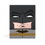 Batman Squaroes Boulder 100+ - Justice League