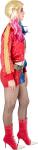 Harley Quinn Adult Costume - Suicide Squad