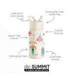 DC Superhero Kids Insulated Water Bottle with Straw