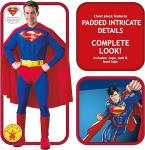 Adult Deluxe Muscle Chest Superman Costume - Small