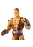 Spider-Man Marvel Legends Shocker Action Figure Toy