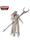 Marvel Legends He-Who-Remains Loki Action Figure