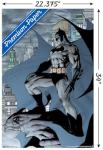 Batman Cape Wall Poster - 22.375" x 34
