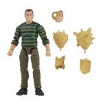 Spider-Man Marvel Legends 6-Inch Action Figure with Accessories